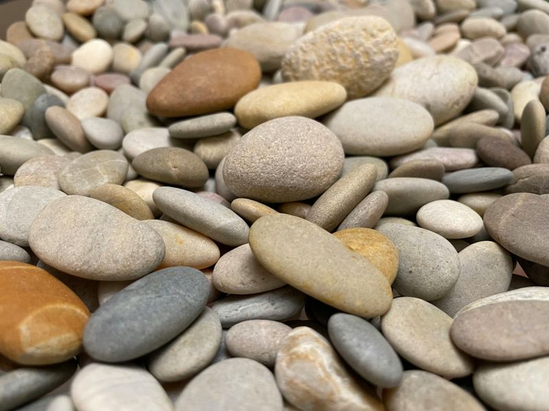 Collecting Rocks, Antlers, Or Artifacts