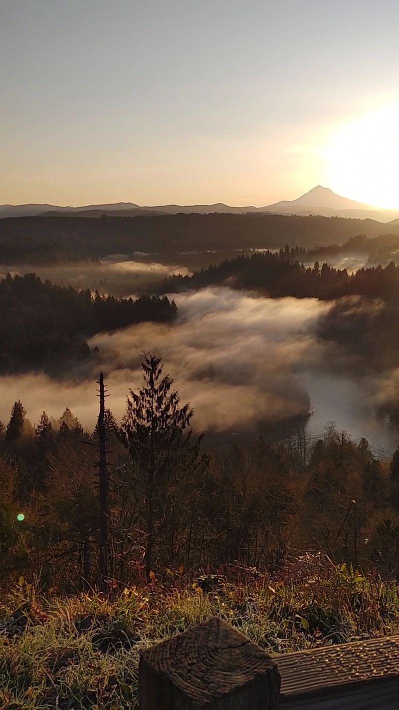 Short Trails Perfect for Quick Exploration