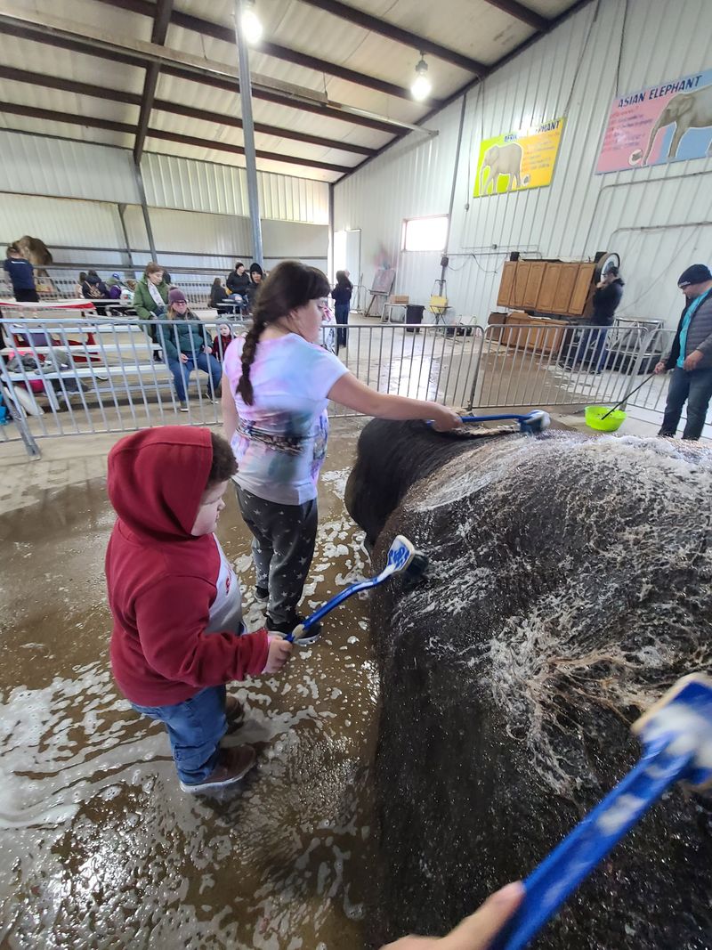 Seasonal Festivals Bring Extra Magic