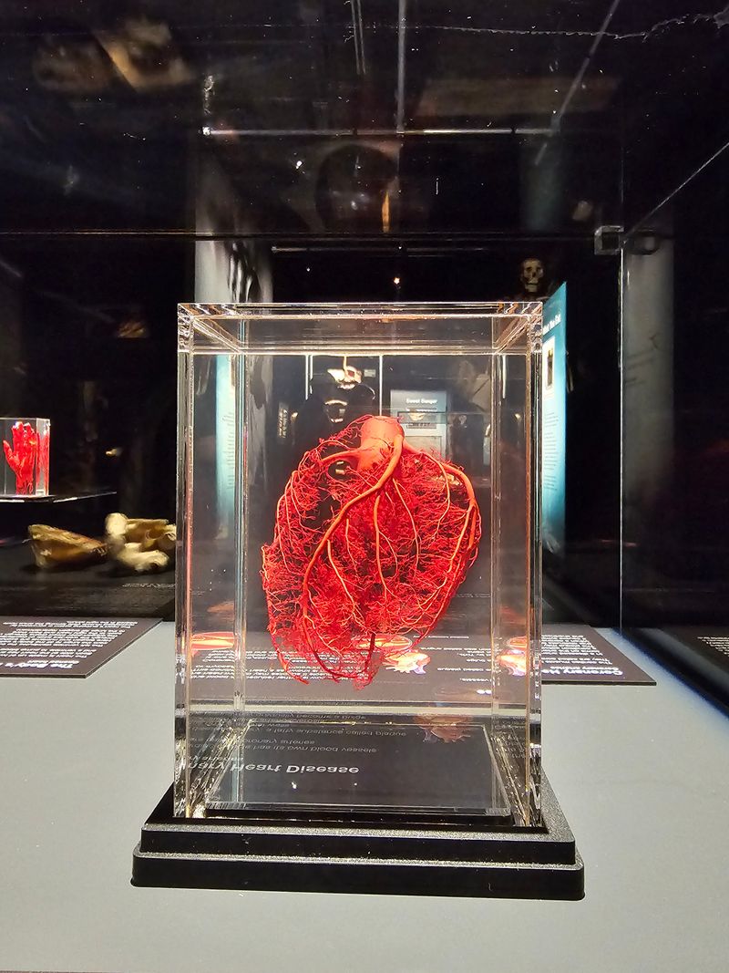 Healthy vs. Diseased Organ Comparisons