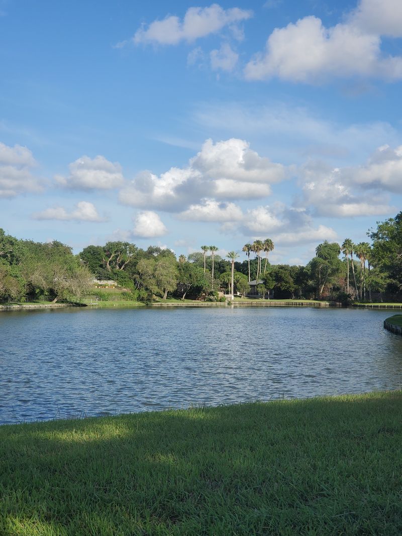 Brownsville: Tropical Border Town