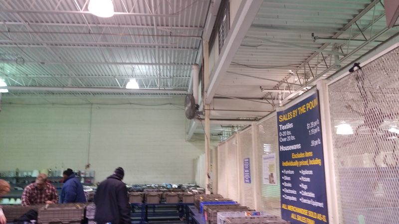 The Thrill of New Bin Rotations Throughout the Day