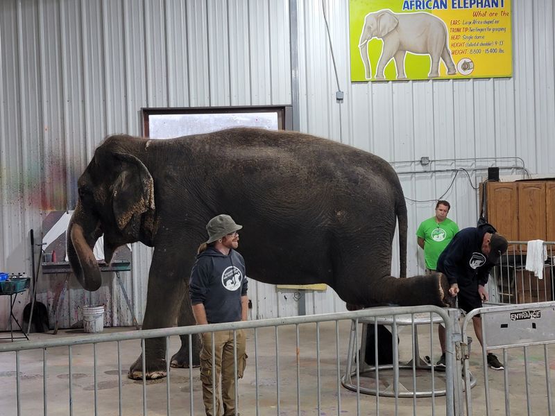 A Rural Setting That Feels Worlds Away