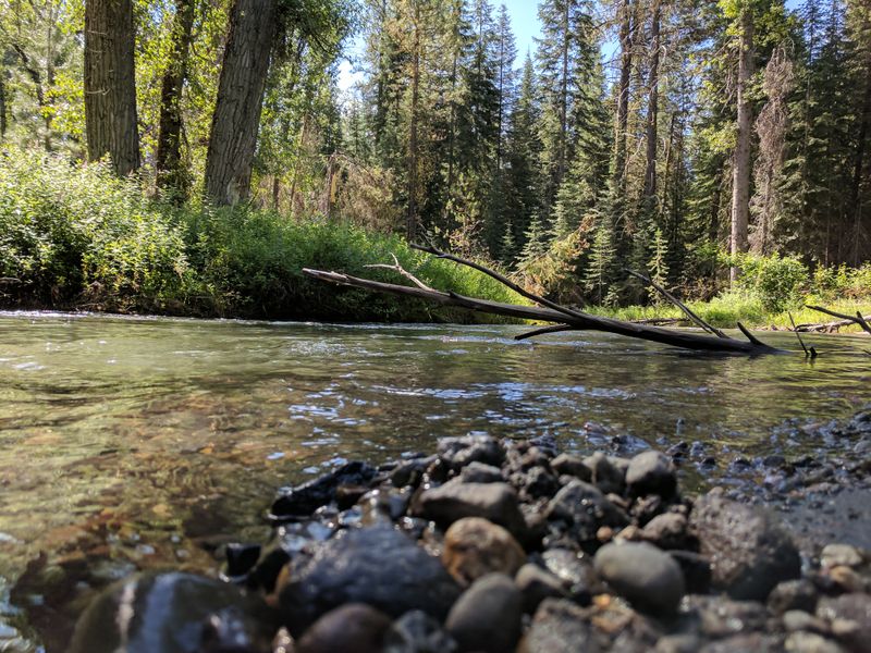 Sun Pass State Forest