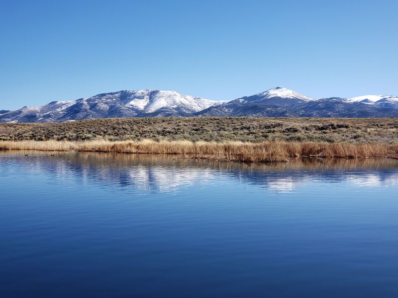 Nature Surrounds The Town Without Demanding Attention