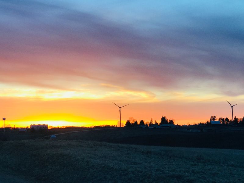 Why Evenings Feel Different Here