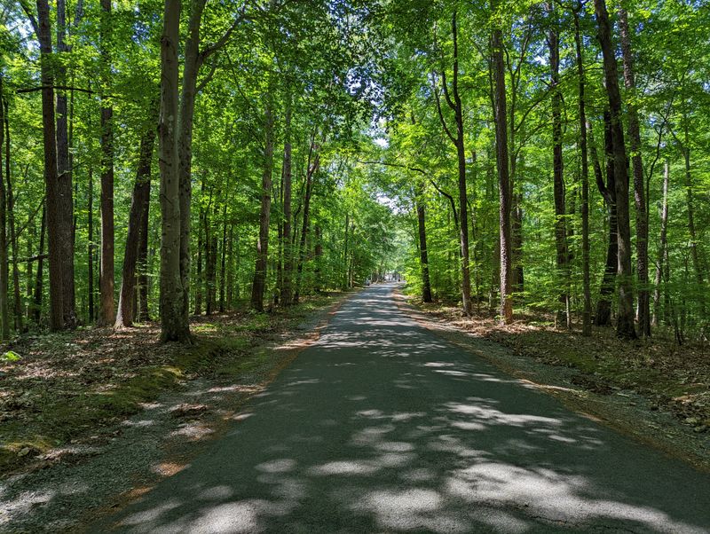 Terraced Gardens and Colonial Layers