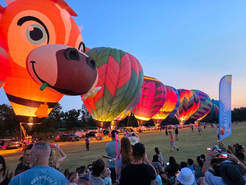 Special Shape Balloons That Defy Logic and Gravity
