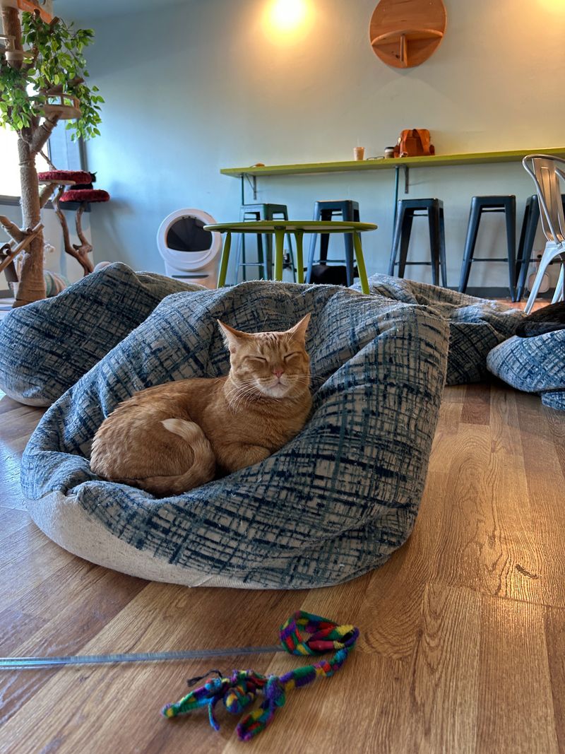 Supporting a Mission That Matters