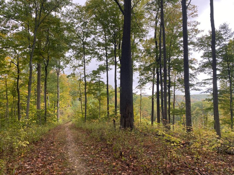 Free Admission and Uncrowded Trails