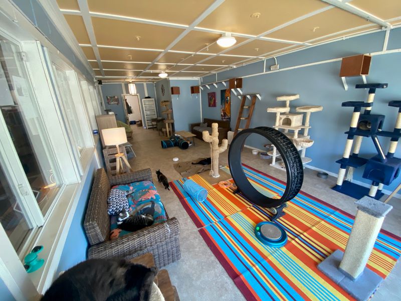 Two Distinct Lounge Spaces for Different Vibes