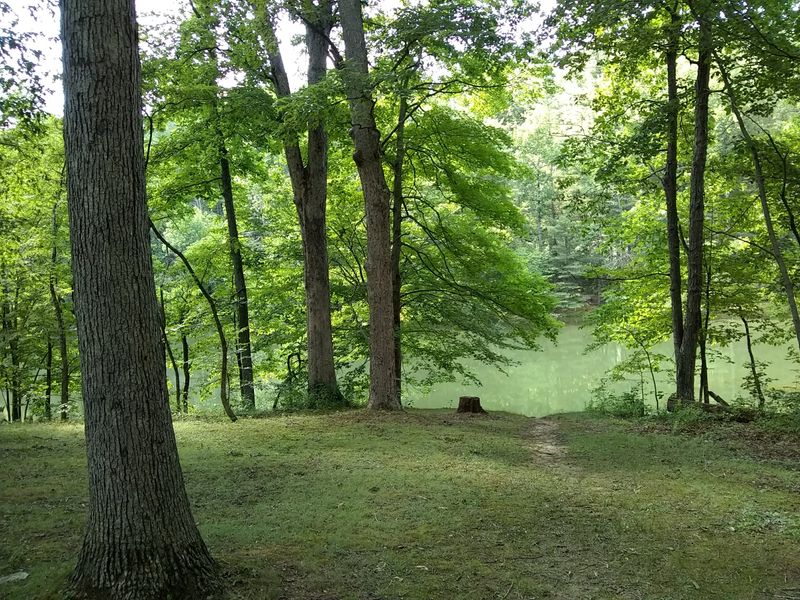 Abundant Wildlife and Natural Beauty