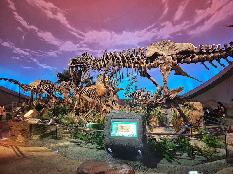 Get Hands-On at the Children's Museum of Indianapolis