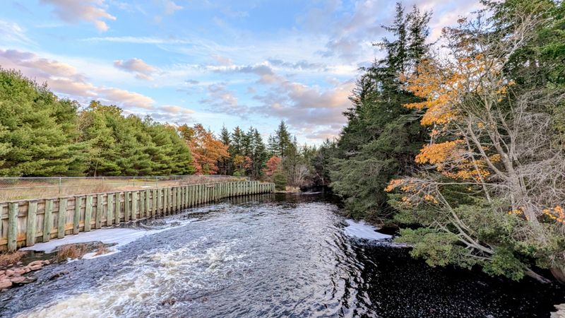 A Name That Sparks Curiosity and Tells a Story