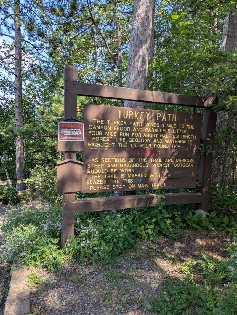 Turkey Path At Leonard Harrison