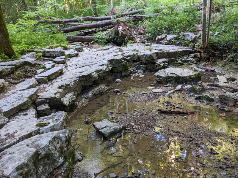 Witnessing Nature's Power Through Tornado Recovery