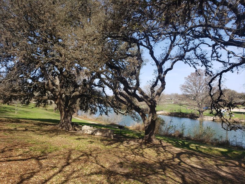 Seasonal Beauty Worth Repeated Visits