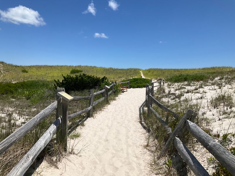 World-Class Surf Fishing Opportunities Year-Round