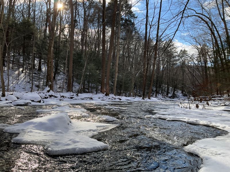 Seasonal Changes Transform The Landscape Into Four Distinct Experiences