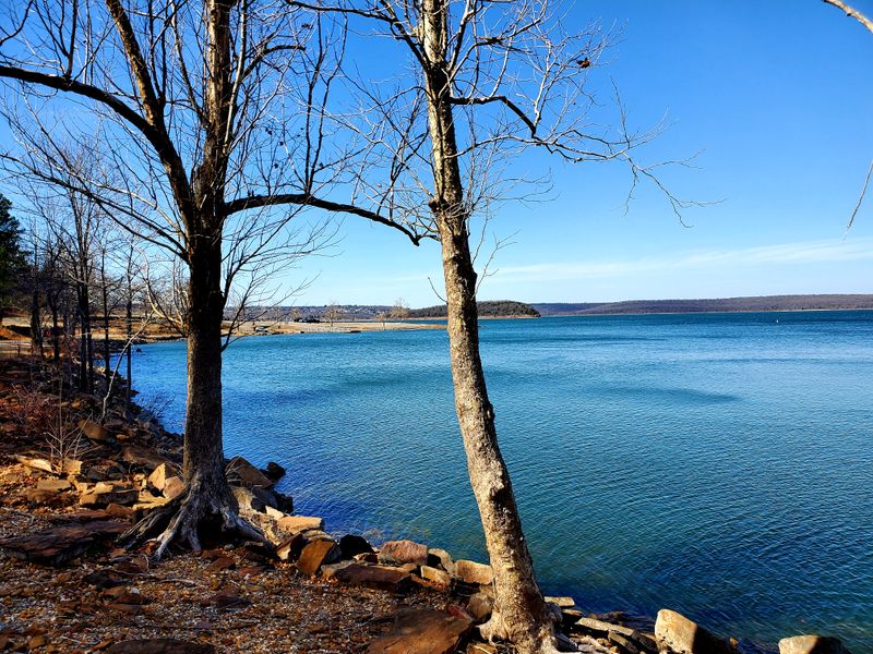 Peaceful Kayaking Through Wooded Shorelines