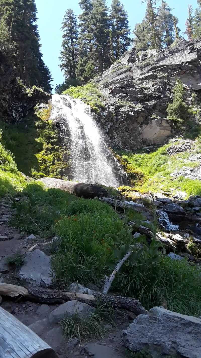 Morning Magic Beats Afternoon Crowds Every Time