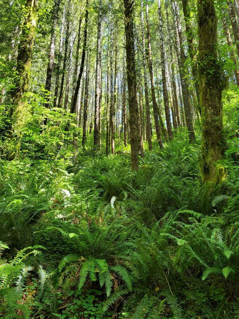 The Optional North Loop for Extra Adventure