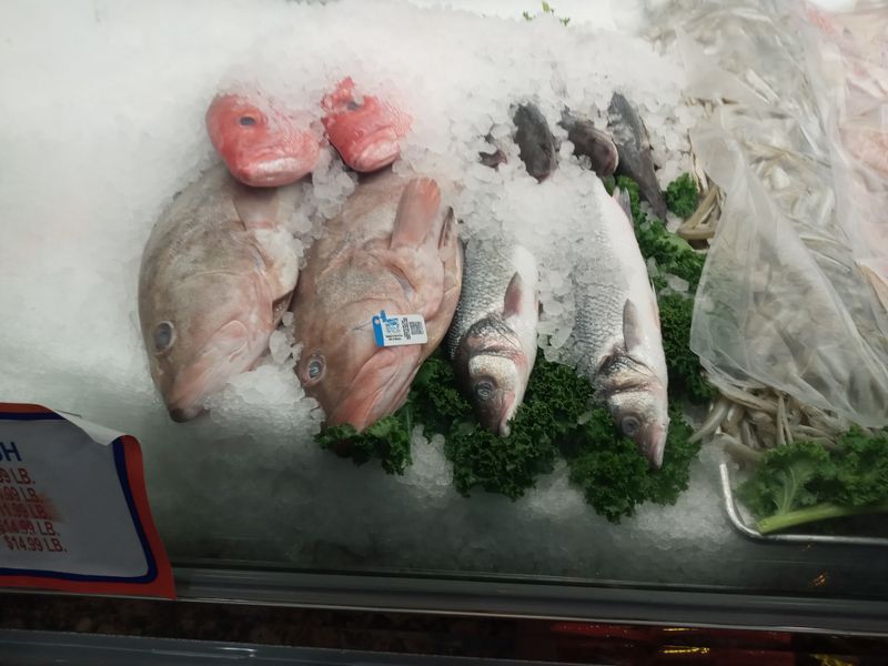 Incredibly Fresh Seafood Selection