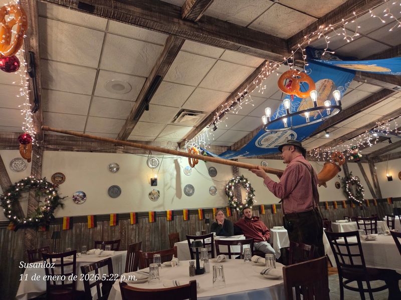 Schnitzel Done to Golden Perfection