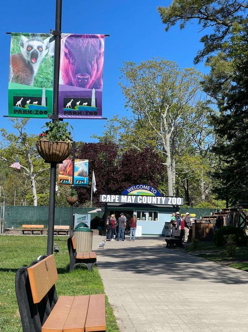 Seasonal Events That Keep Visitors Returning Year?Round