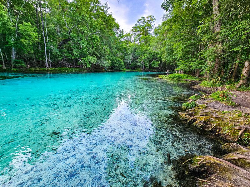 Gilchrist Blue Springs State Park