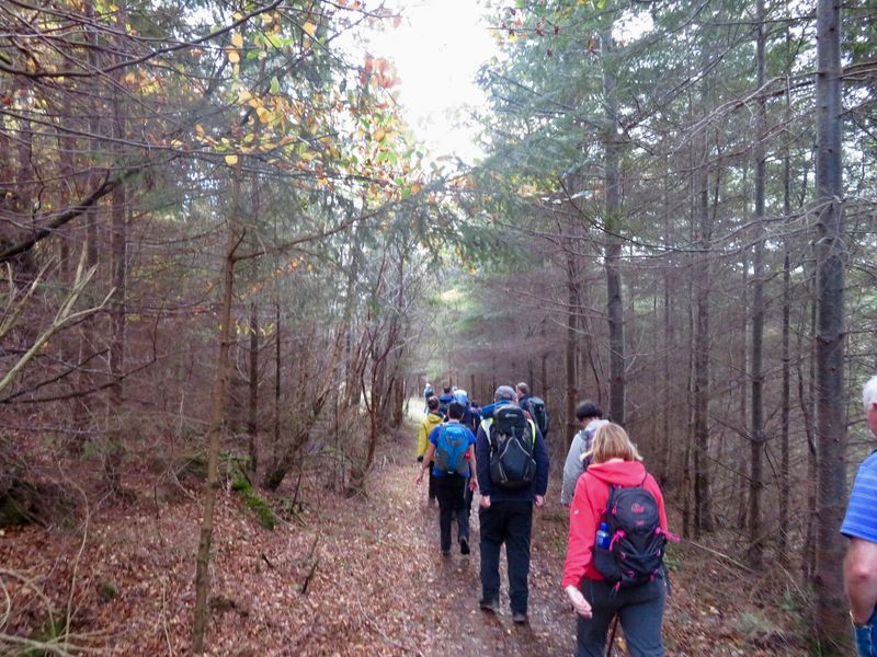 Respectful Tourism and Guided Visits