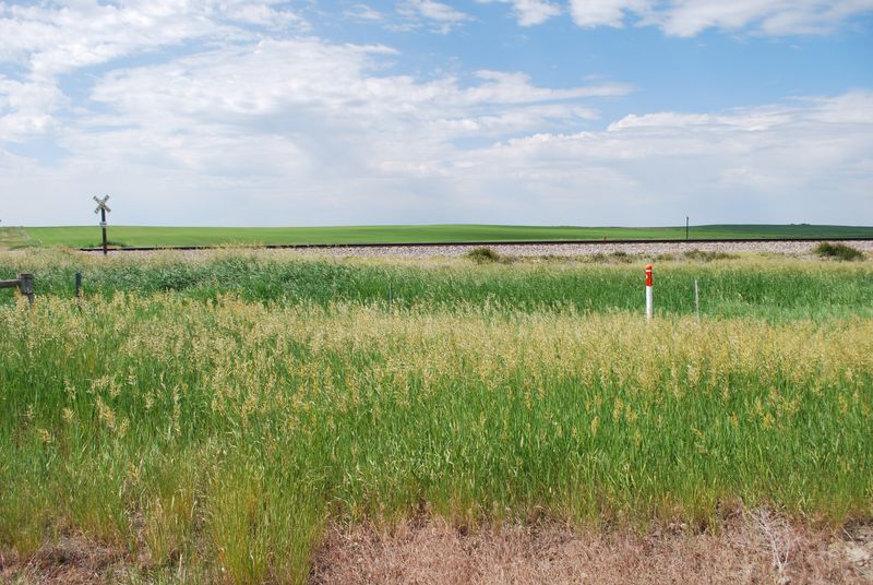 Even Small Removals Add Up Over Time