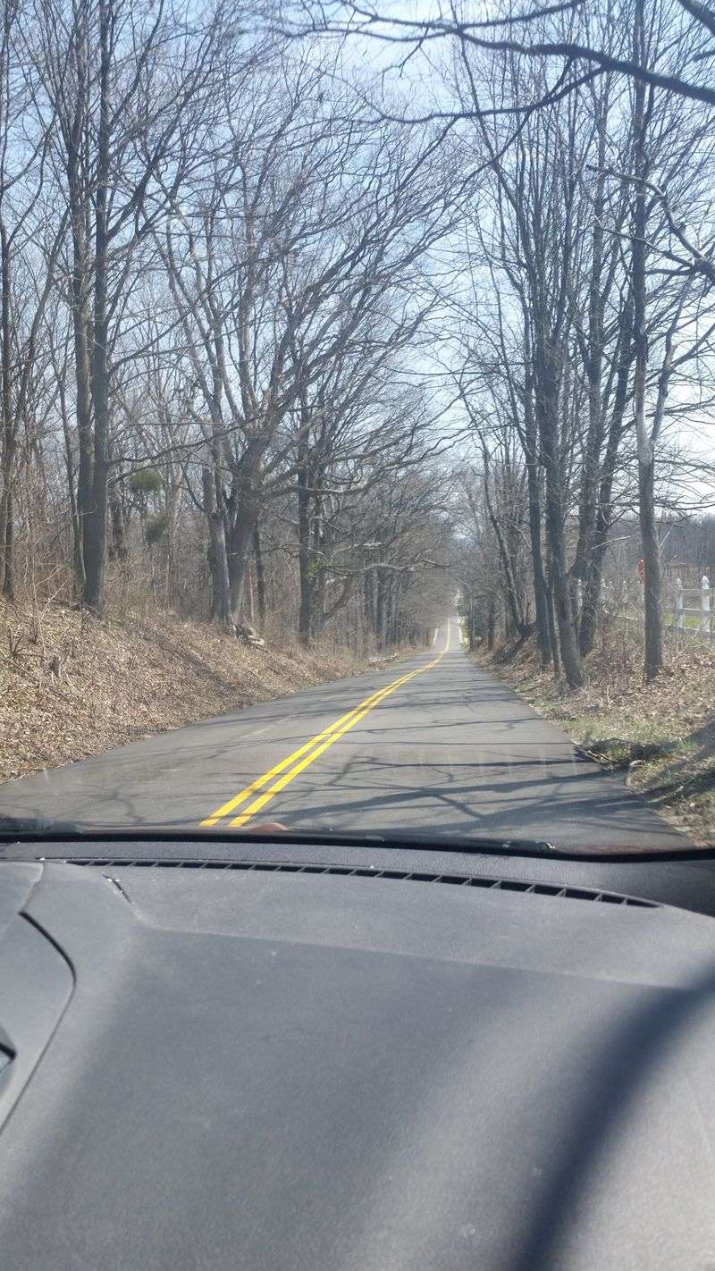 Safety Concerns and Traffic Warnings