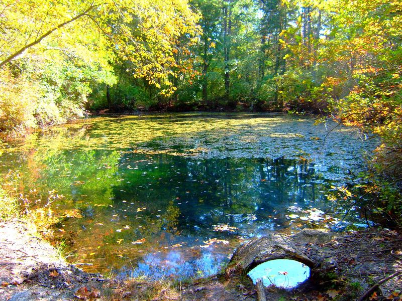 The Disappointing Reality Versus Instagram-Filtered Expectations