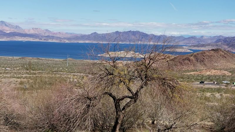 The Difference Between Designated Fire Rings And Open Desert
