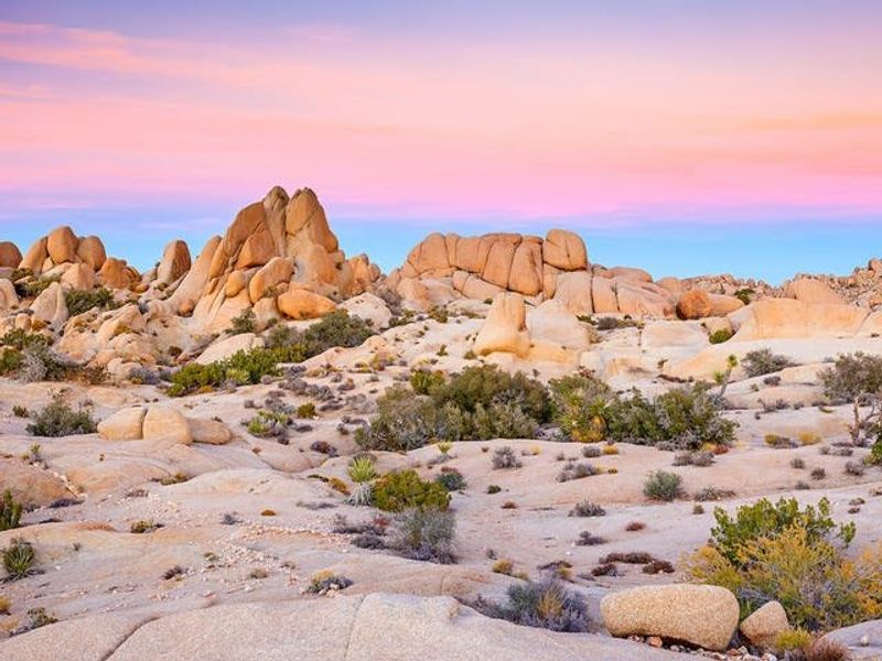Joshua Tree National Park Reveals Desert Magic