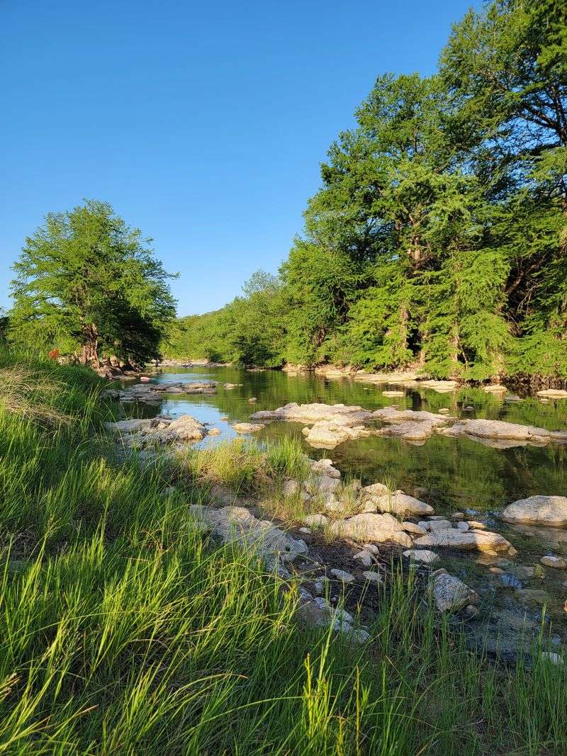 Interactive Ranger Programs That Bring Nature to Life