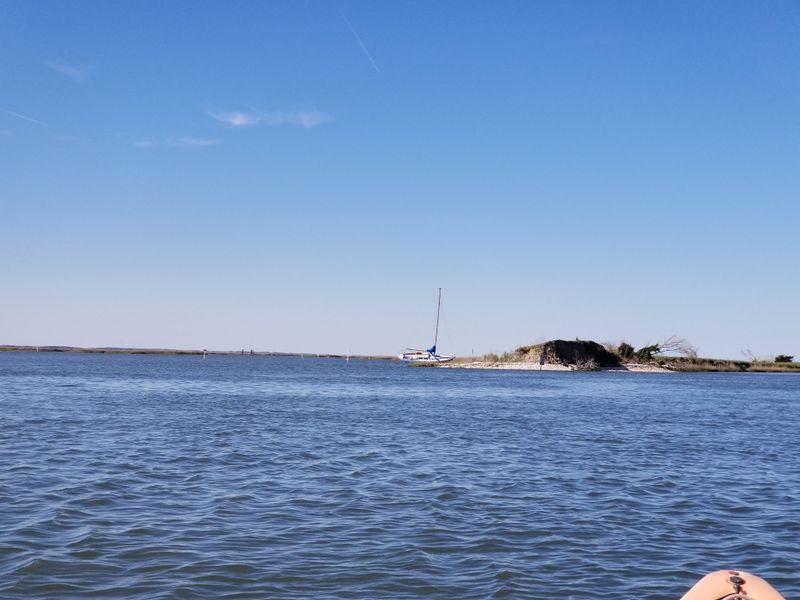 Kayaking Through Quiet Channels Reveals Hidden Wildlife Perspectives