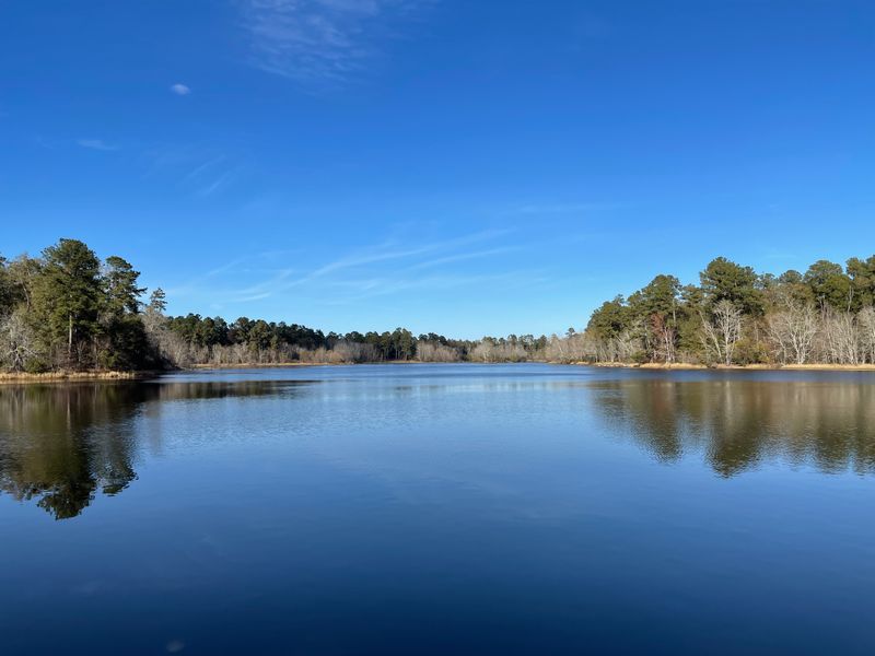 Magnolia Springs State Park
