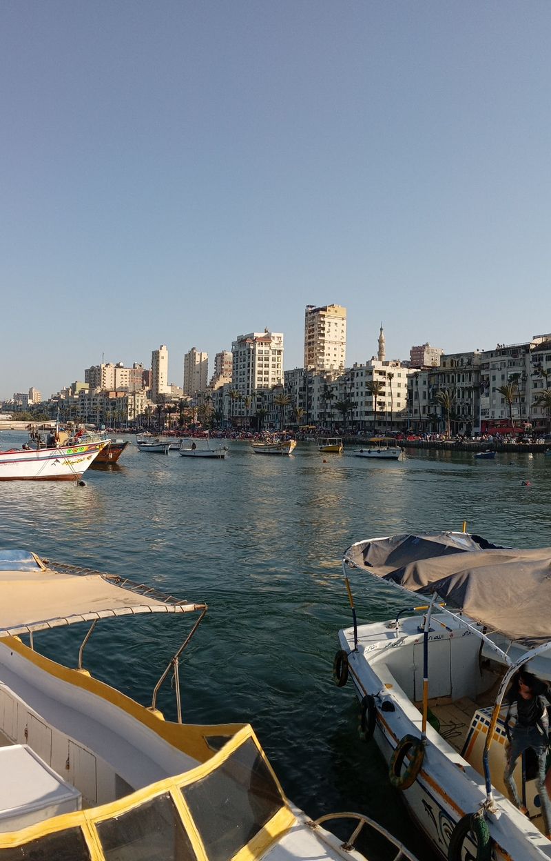 Alexandria