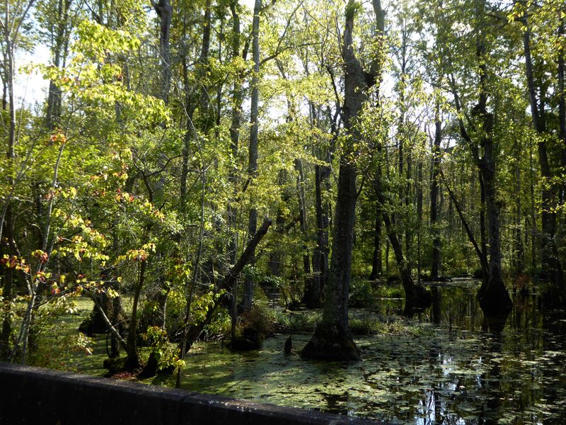 Why Locals Use The Word Breathing