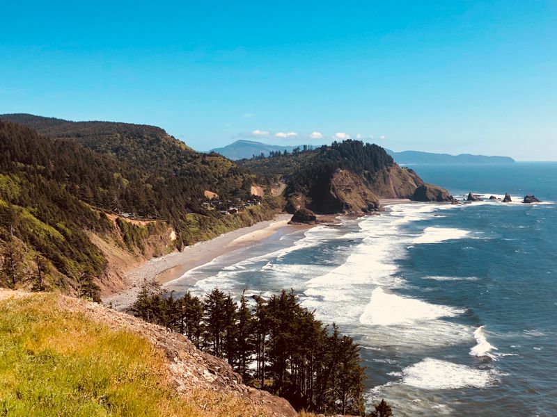 Trails Wind Through Coastal Forest and Headland