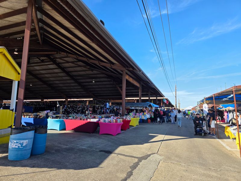 Everything Under the Sun Available Here