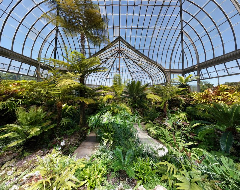 Belle Isle Park & Conservatory
