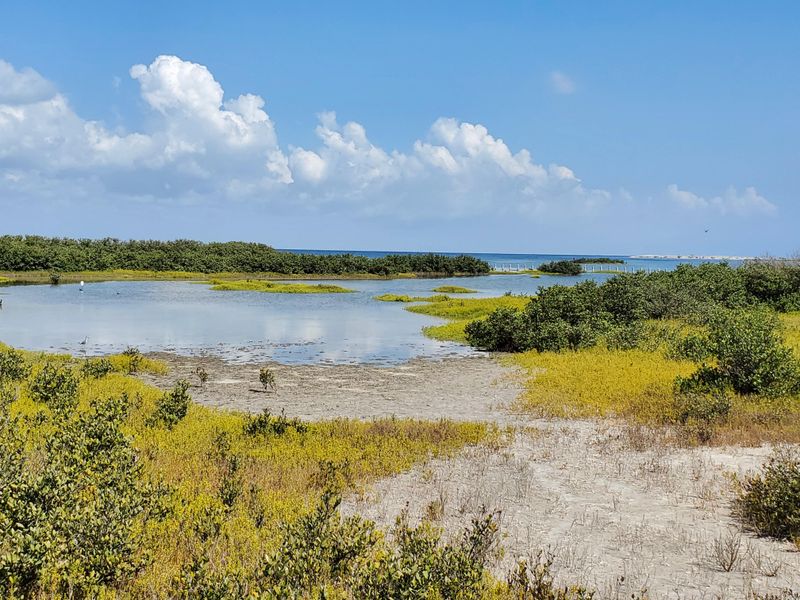 South Padre Island's Nature Trails