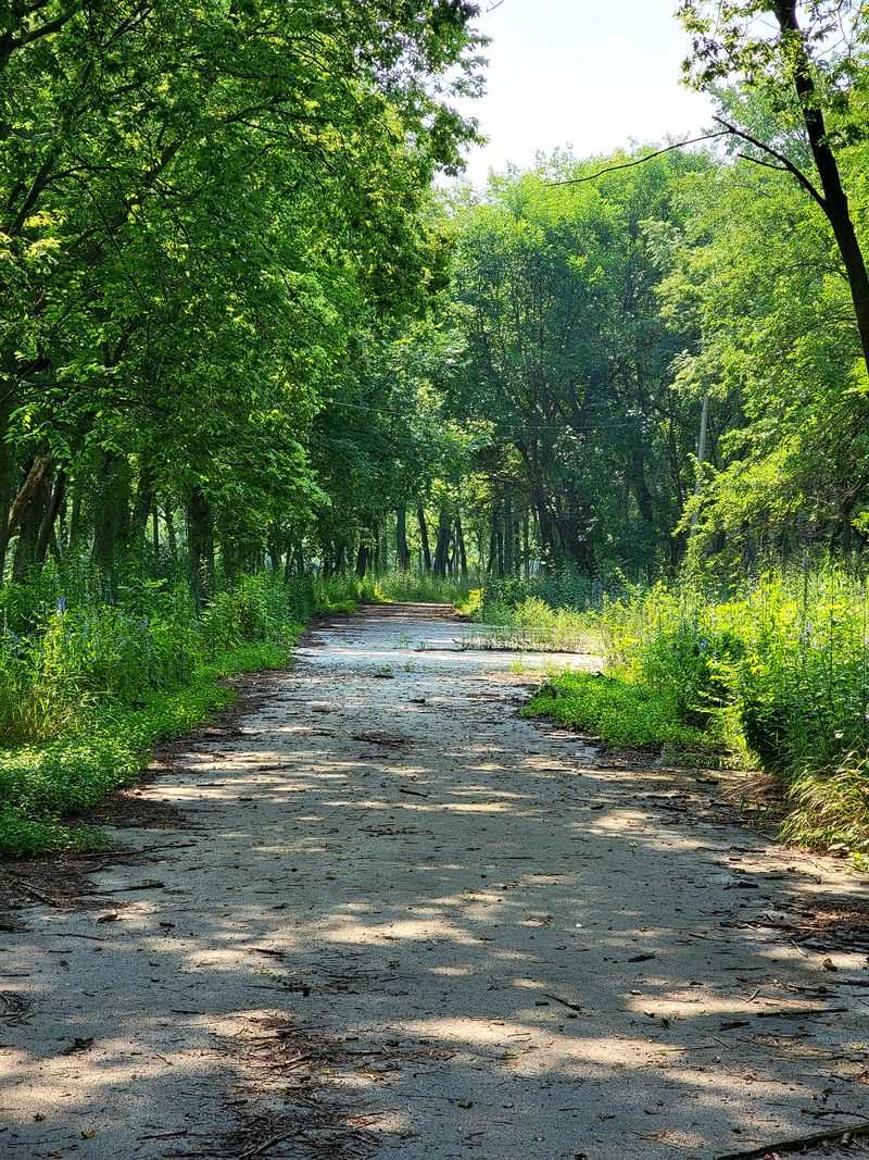 Big Meadow Trail: Your Gateway to Fossil Paradise