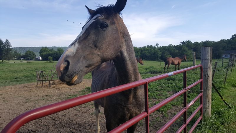 Slow Living That's Actually Sustainable