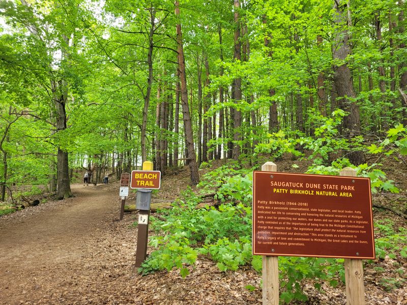 Saugatuck & Saugatuck Dunes State Park