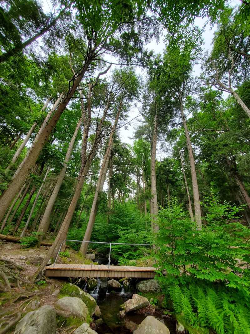 Buttermilk Falls to Hemlock Pond Loop, New Jersey