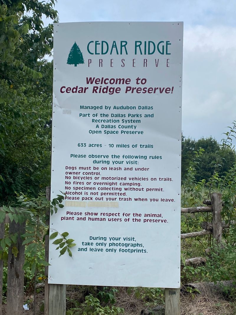 Dog-Friendly Trail Etiquette